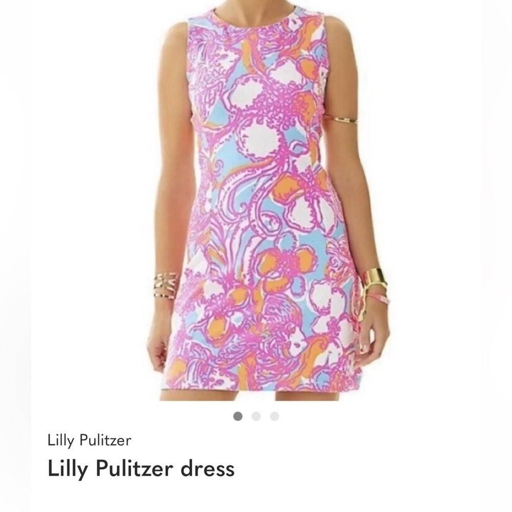 Lilly Pulitzer dress - Picture 1 of 3
